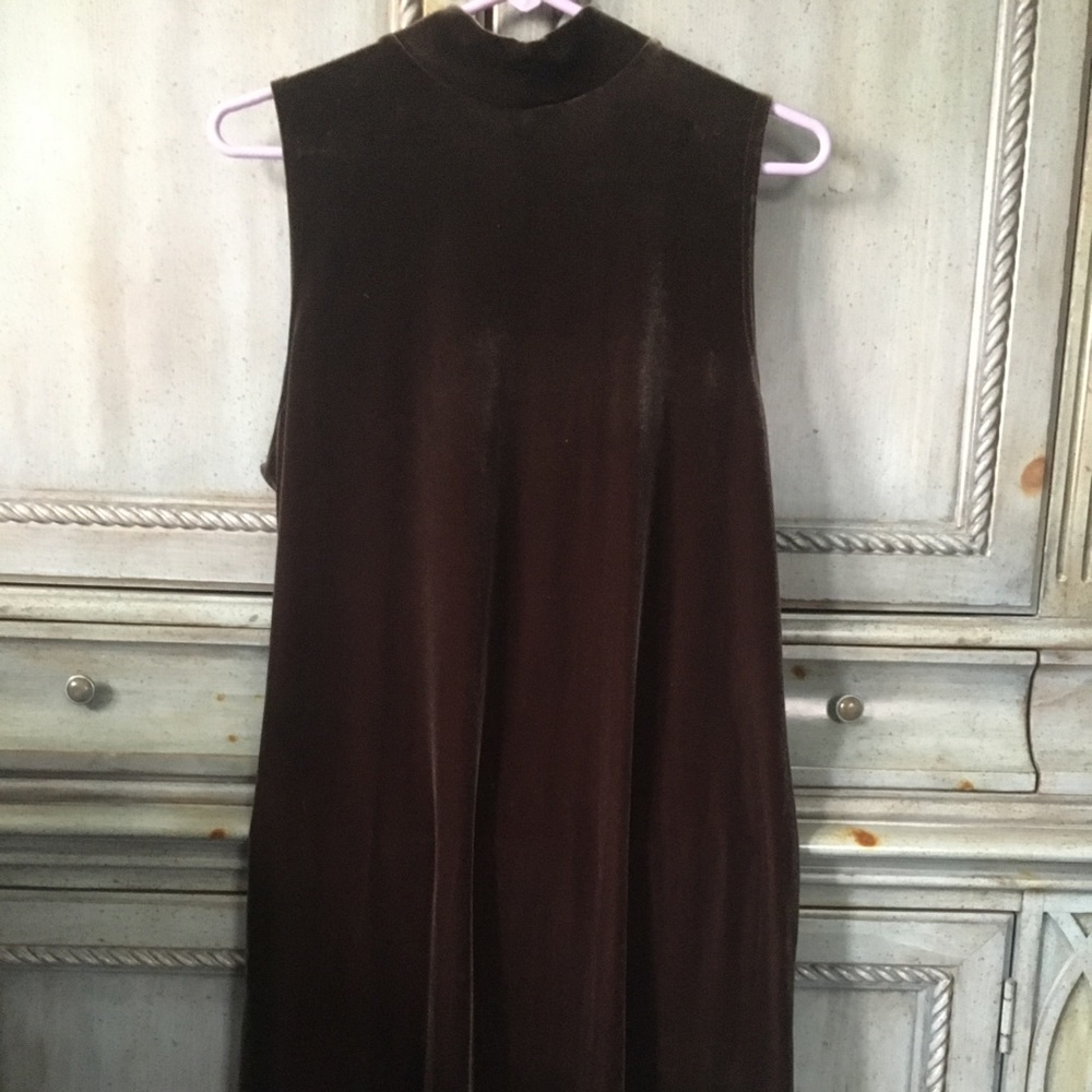 Sleeveless brown velvet spandex dress.